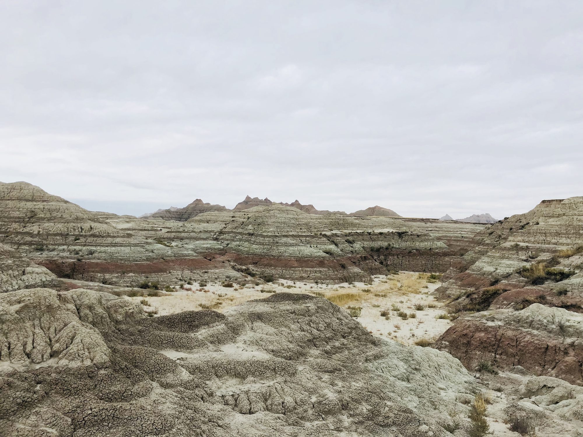 The Badlands doing their Mars-with-grass impression under a heavy sky.