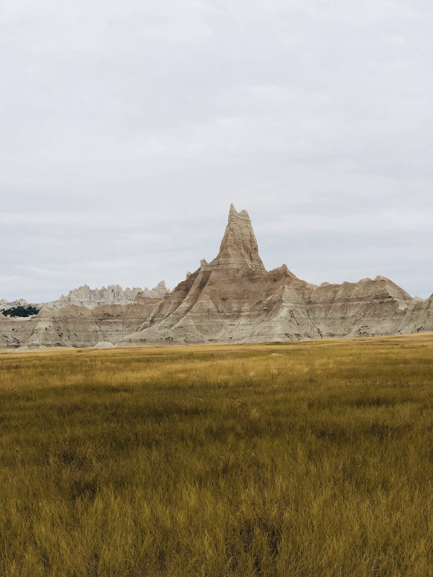 A lone spire rising straight out of the golden grass.