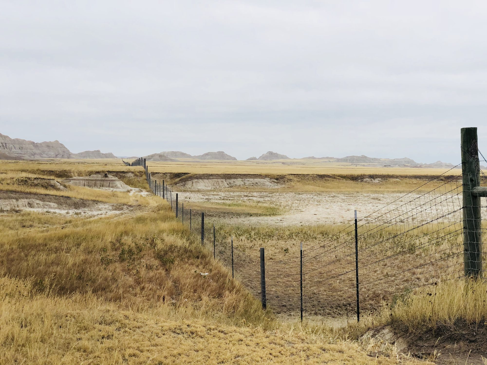 Ranch fencing on the horizon — the first sign of human life in days.