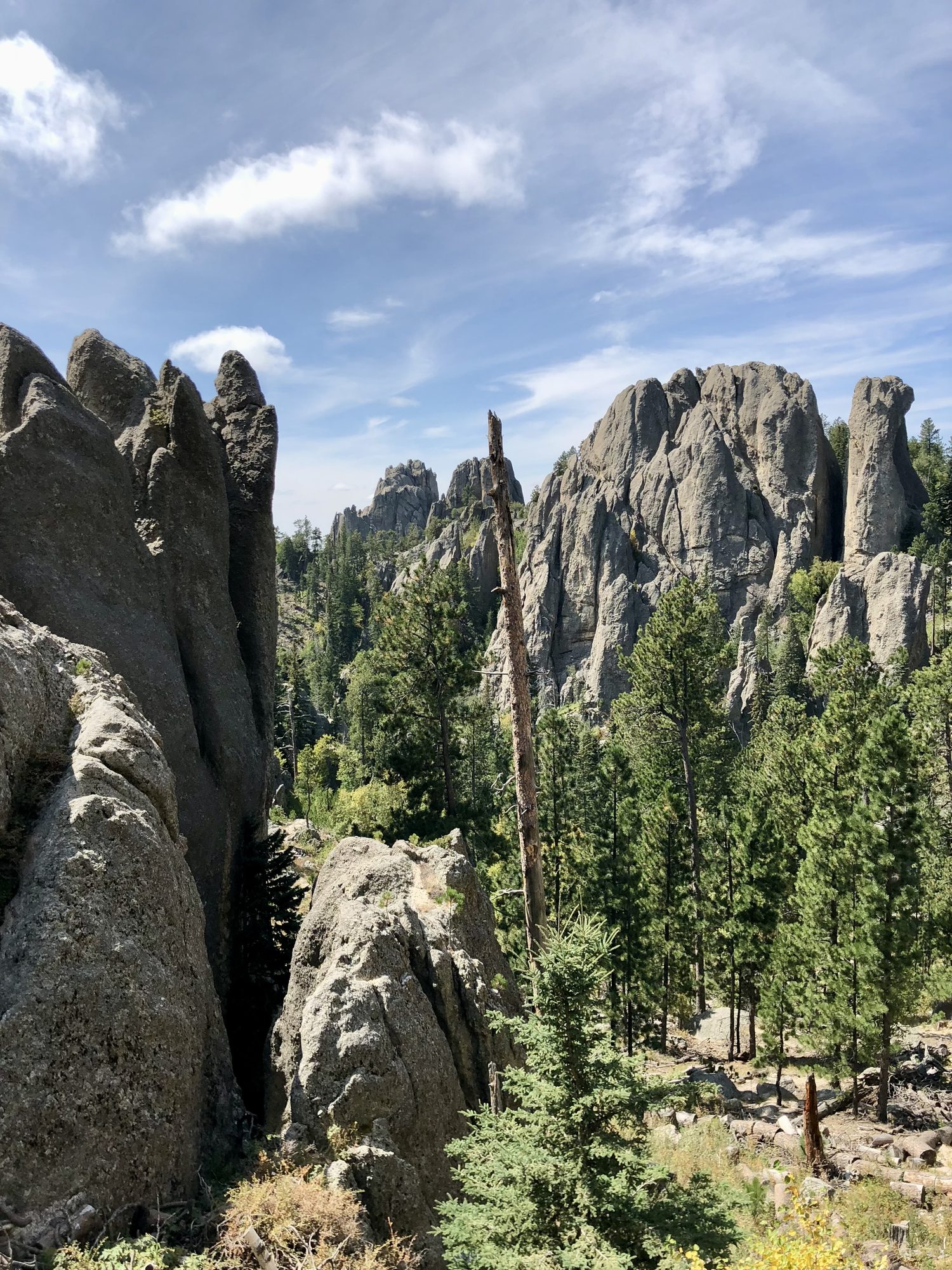 Black Elk's granite country, spires and pines, on the drive home.