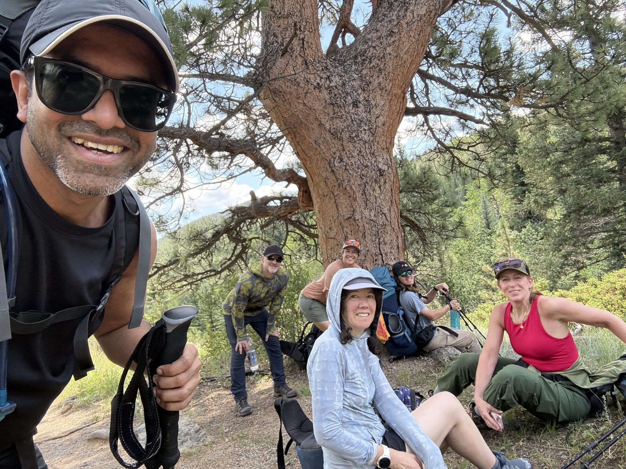 A shady break under a big tree, the group settling in.