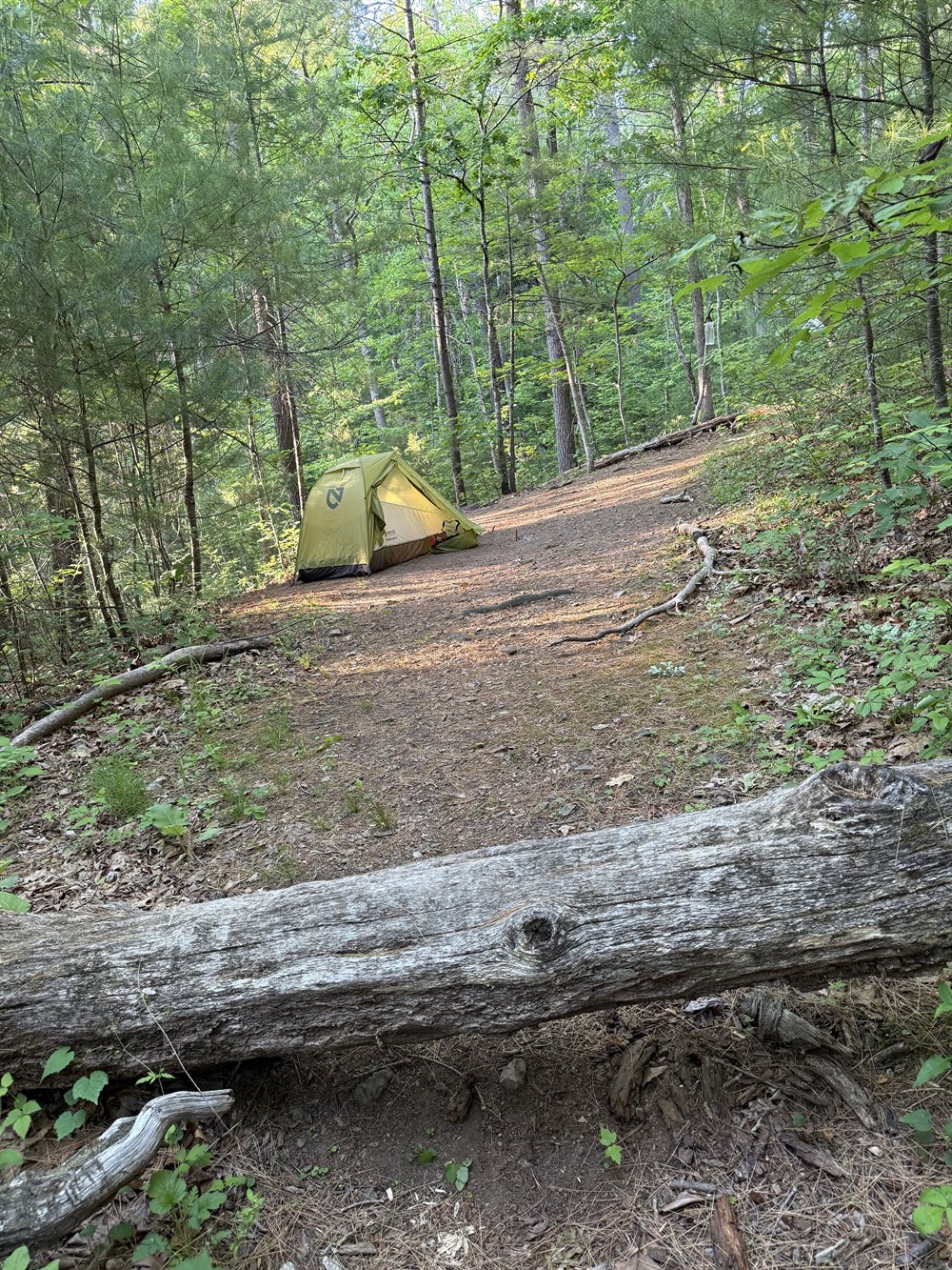 Camp above the ravine, the trail dropping past toward the swim holes